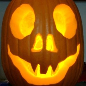 Meet your Posher, Wayne